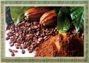 Cacao Dr. Oetker 50 g